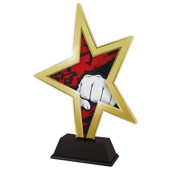 Acryltrophäe STAR002M15 | Kampfsport