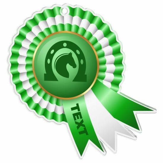 Akrylátová medaile MDAC0010M35 | Jezdectví