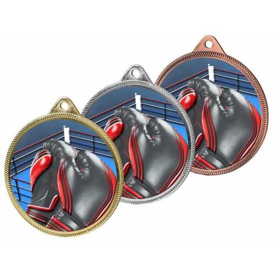 Kovová medaile MDL001M28 | Bojová umění