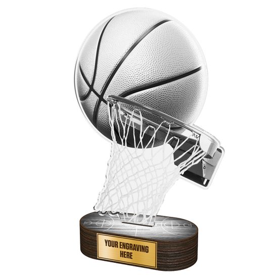 Akrylátová trofej TLR2023214 | Basketball