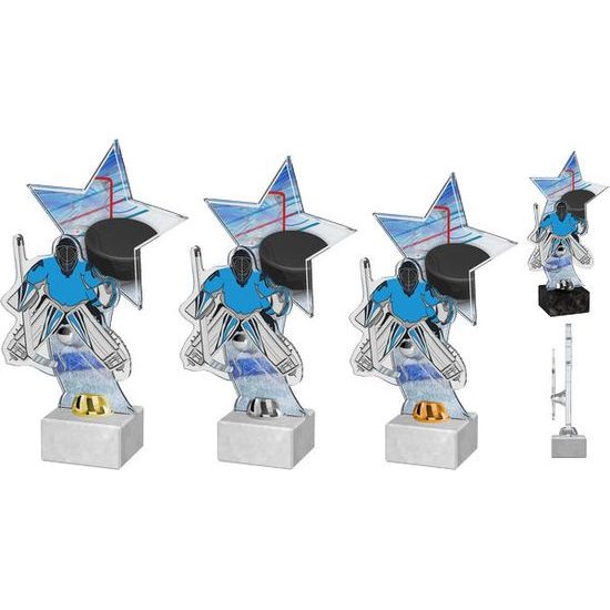 Akrylátová trofej ACTH0001M5 | Hokej