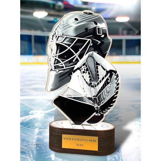 Akrylátová trofej TLR2023289 | Hokej