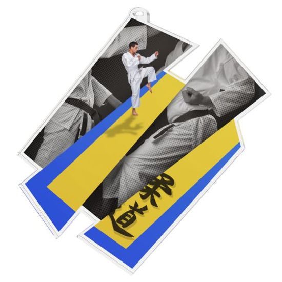 Akrylátová medaile MDAZ0011M33 | Bojová umění