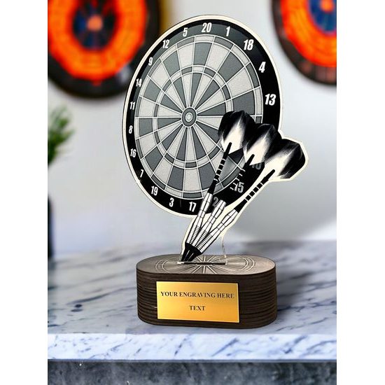 Akrylátová trofej TLR2023208 | Šipky