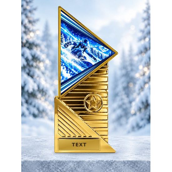 Designová trofej TRI2027M65 | Snowboard
