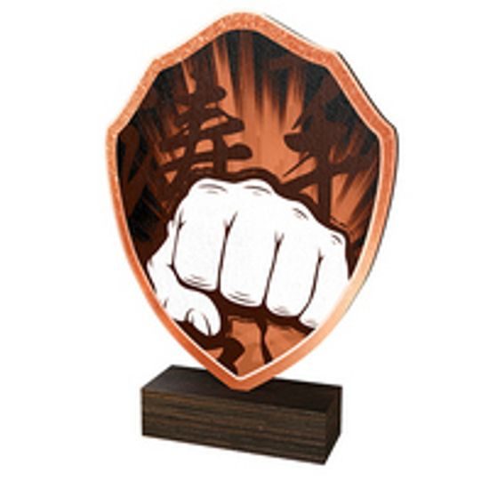 Dřevěná plaketa TFRW149 | Bojová umění