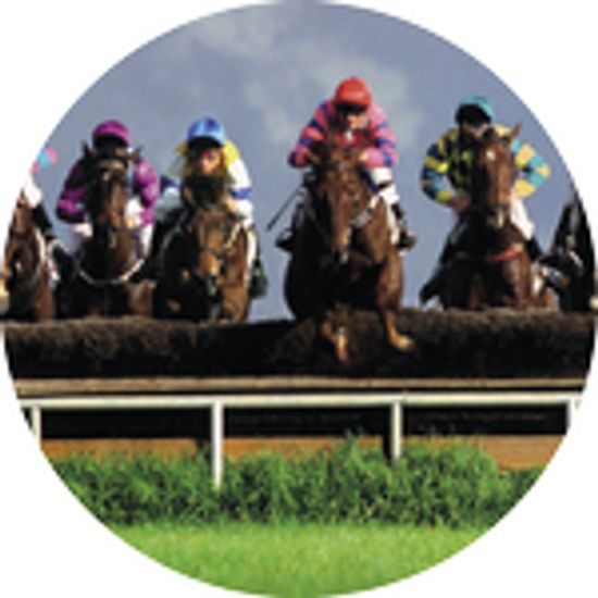 Emblem ES124 | Reitsport