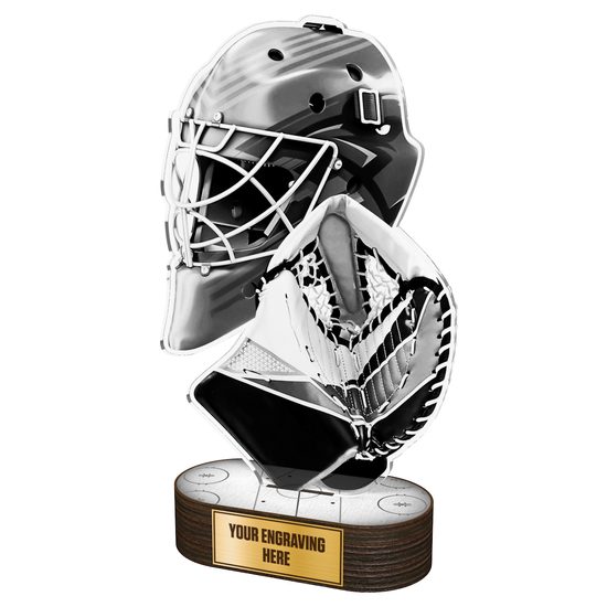Akrylátová trofej TLR2023289 | Hokej