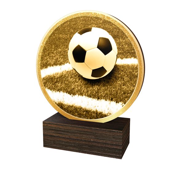 Dřevěná plaketa TFRW813 | Fotbal