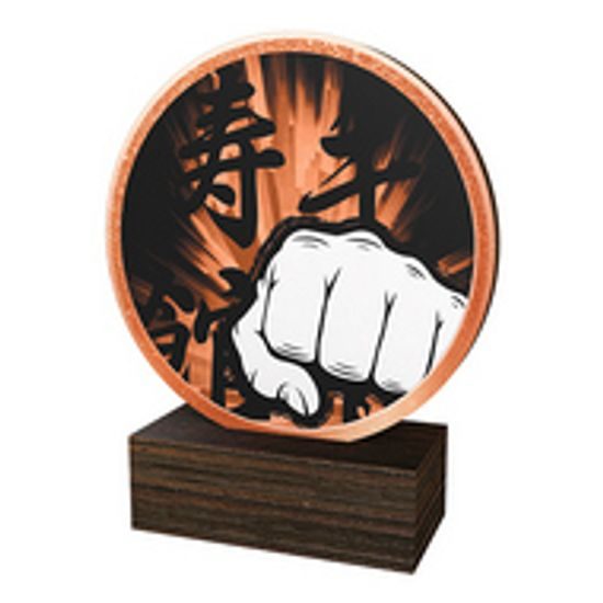 Dřevěná plaketa TFRW589 | Bojová umění