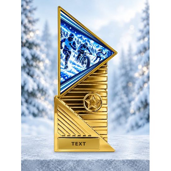 Designová trofej TRI2027M67 | Zima