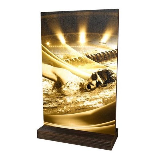 Dřevěná plaketa WPLAR01M11 | Plavání