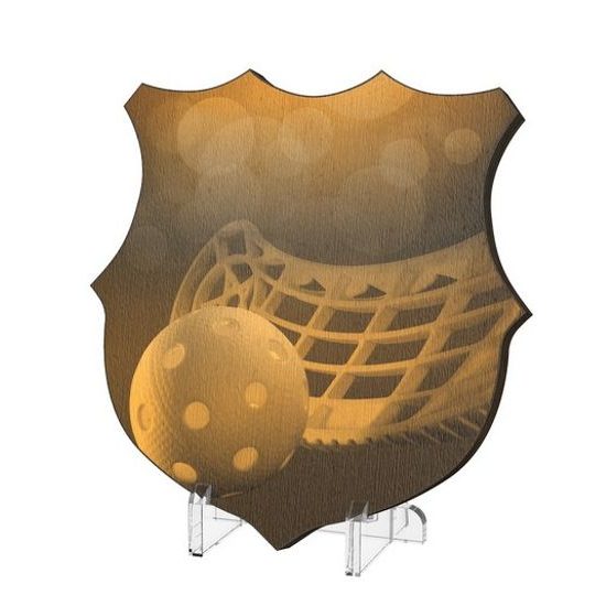 Plaketa WPPR002M24 | Florbal