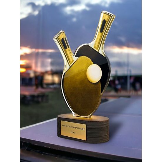 Akrylátová trofej TLR2023243 | Stolní tenis