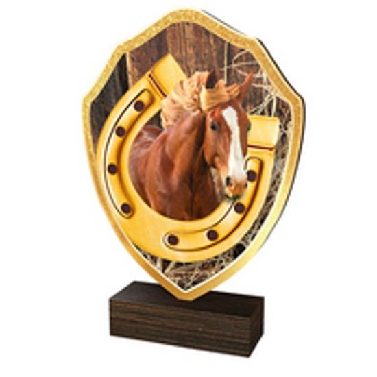 Drevená plaketa TFRW090 | Jazdectvo