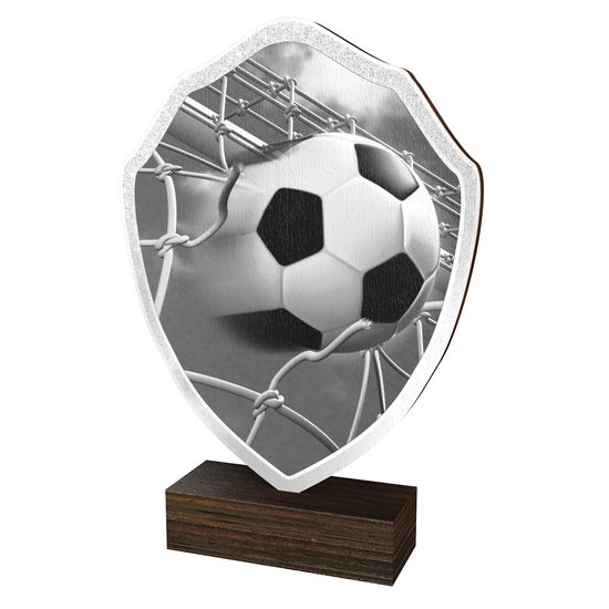 Dřevěná plaketa TFRW310 | Fotbal