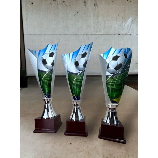 Pokal | Fußball