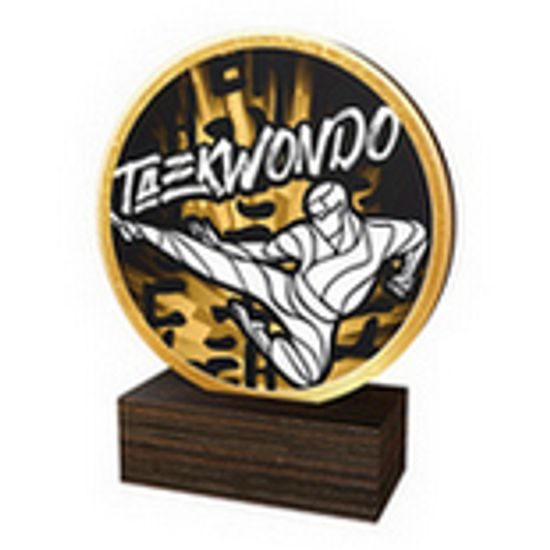 Drevená plaketa TFRW603 | Bojové umenia