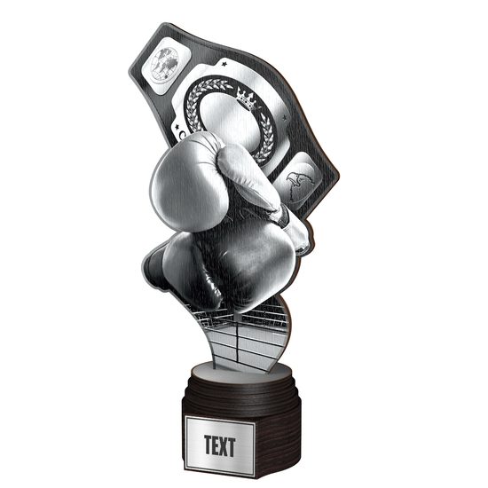 Dřevěná trofej ACTCWR101 | Bojová umění