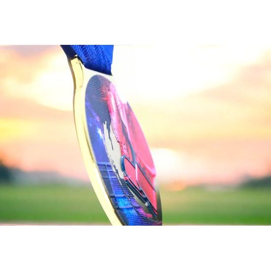 Kovová medaile MDLMIDM05 | Bojová umění