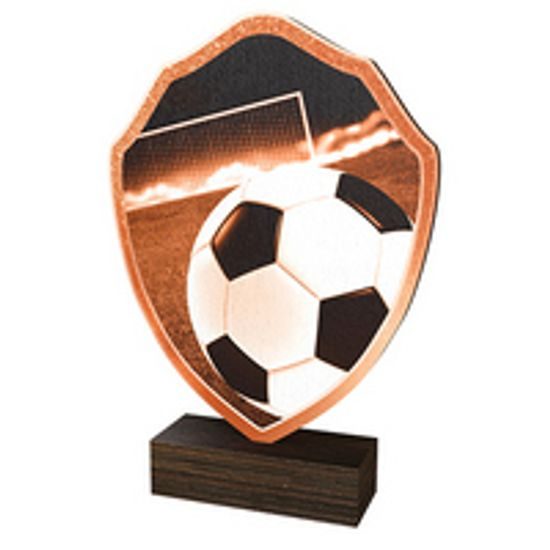 Dřevěná plaketa TFRW004 | Fotbal
