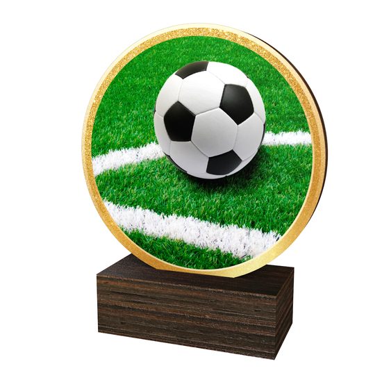 Dřevěná plaketa TFRW812 | Fotbal