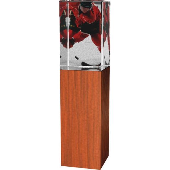 Glastrophäe -Holz-Glas kombination CR4021M5 | Eishockey