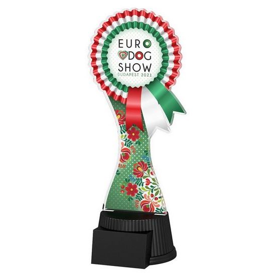 Akrylátová trofej EDS21ACUTC01 | Tematické edície