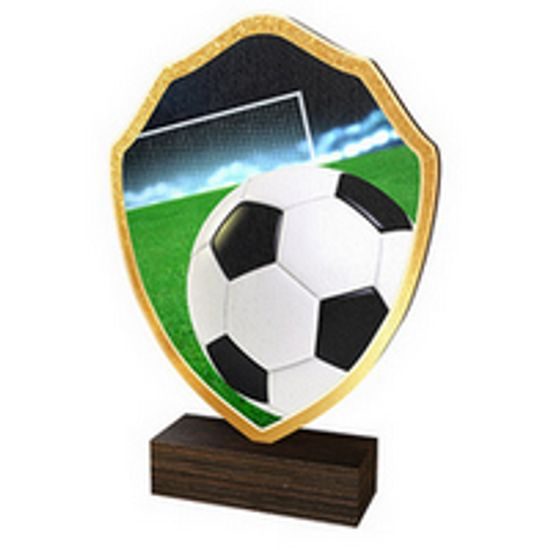 Dřevěná plaketa TFRW001 | Fotbal