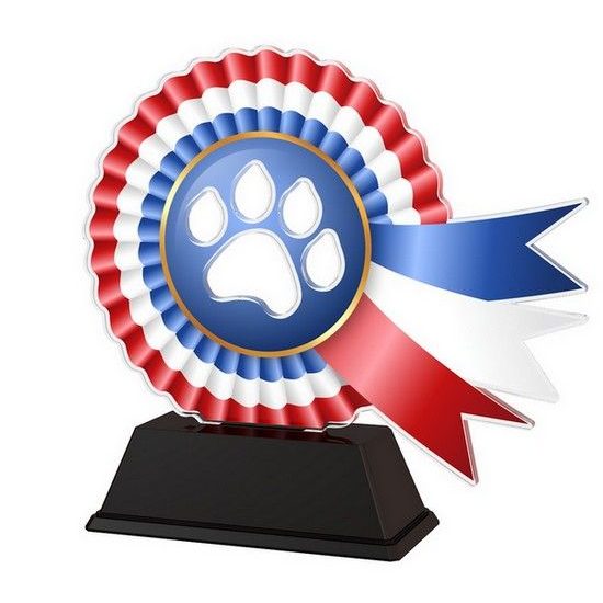 Akrylátová trofej AKECC002M01 | Kynologie