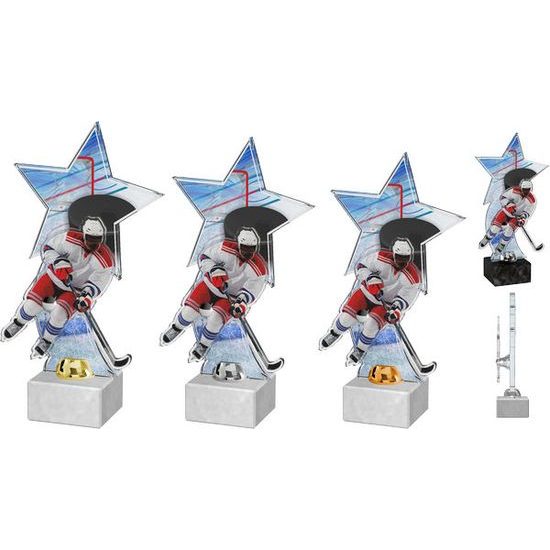 Akrylátová trofej ACTH0001M1 | Hokej