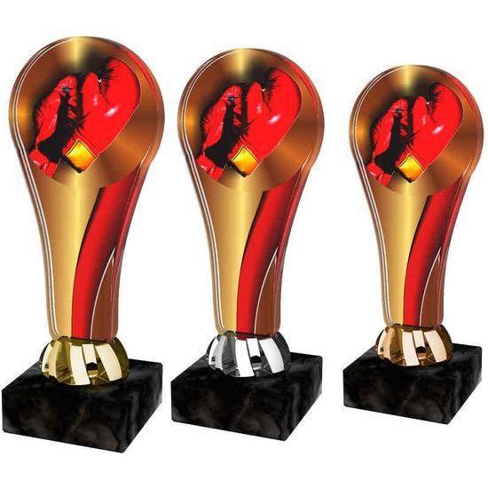 Akrylátová trofej ACL2100M34 | Bojová umění