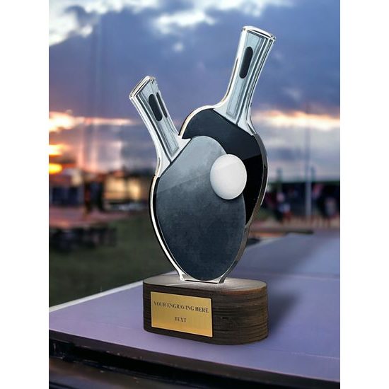 Akrylátová trofej TLR2023244 | Stolní tenis