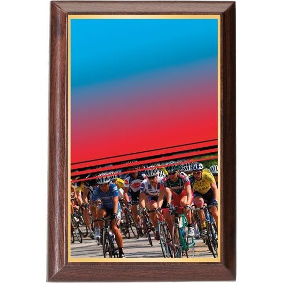 Plakette PLP3M24 | Radfahren