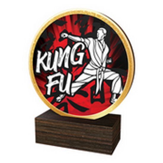 Drevená plaketa TFRW606 | Bojové umenia