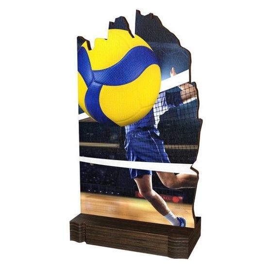 Dřevěná plaketa WPLA02M15 | Volejbal