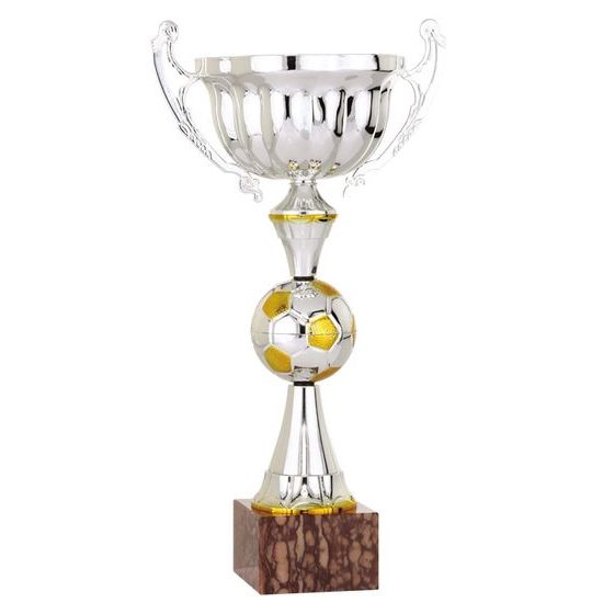 Pohár fotbal FB9