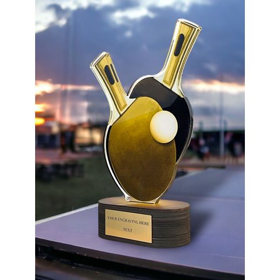 Akrylátová trofej TLR2023243 | Stolní tenis