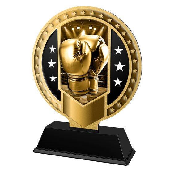 Kovová trofej SAMR03M14 | Bojová umění