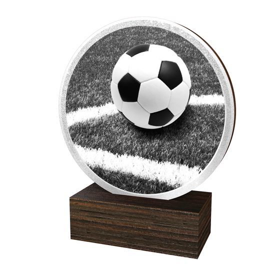 Dřevěná plaketa TFRW814 | Fotbal