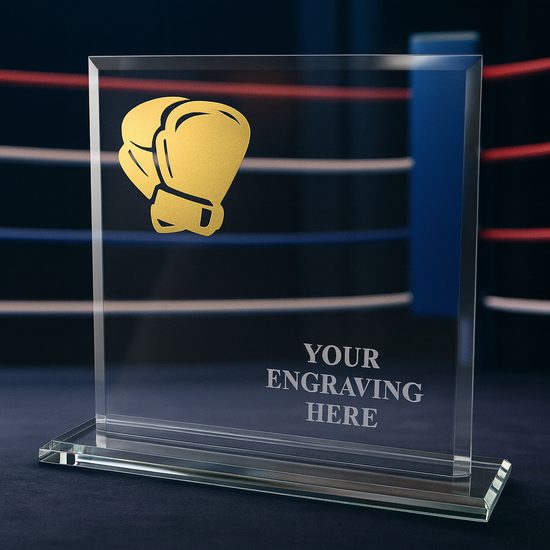 Skleněná trofej CRM20241M10 | Bojová umění