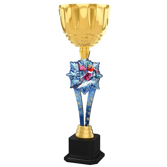 Trofej ACUPW2025M02 | Sjezdové lyžování