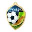 Metallmedaille MDM02M02 | Fußball