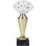 Akrylátová trofej ABT0001M25 | Karty