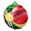 Metallmedaille ekoMDM03M25 | Cricket
