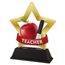 Akrylátová trofej STAR001M99 | Studium