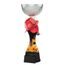 Akrylátová trofej ACUPCSMINIM34 | Hasiči