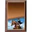 Plakette PLP3M32 | Reitsport