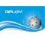 Diplom DP0015 | Florbal
