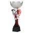 Akrylátová trofej ASTARRCUPMINIM06